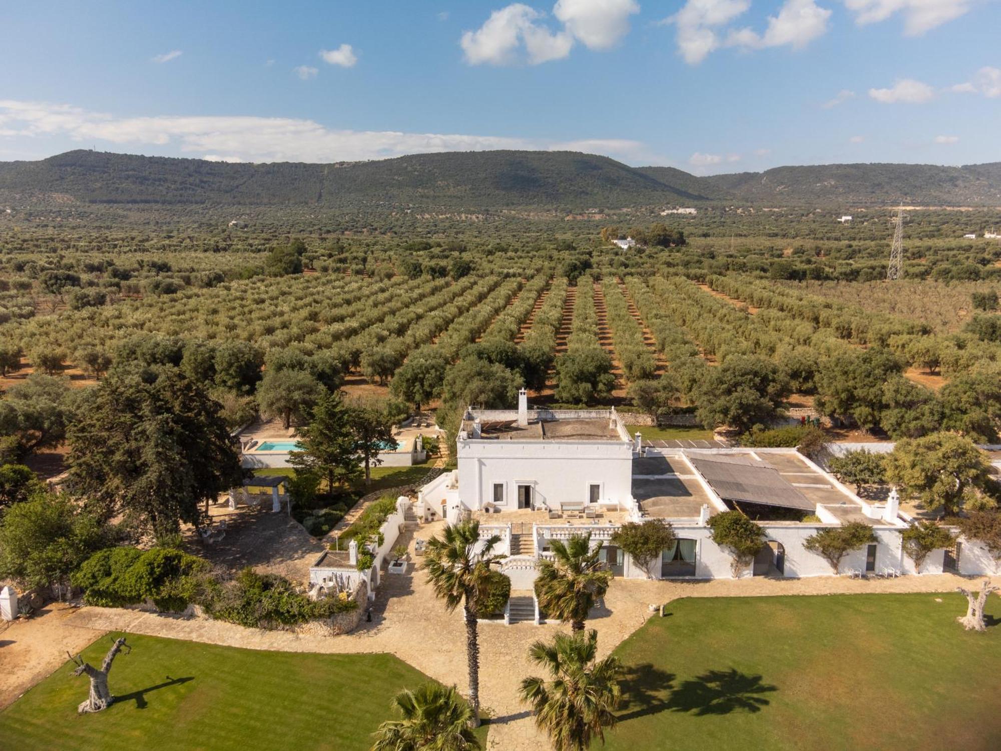 Masseria Eccellenza Pezze Di Greco Zewnętrze zdjęcie